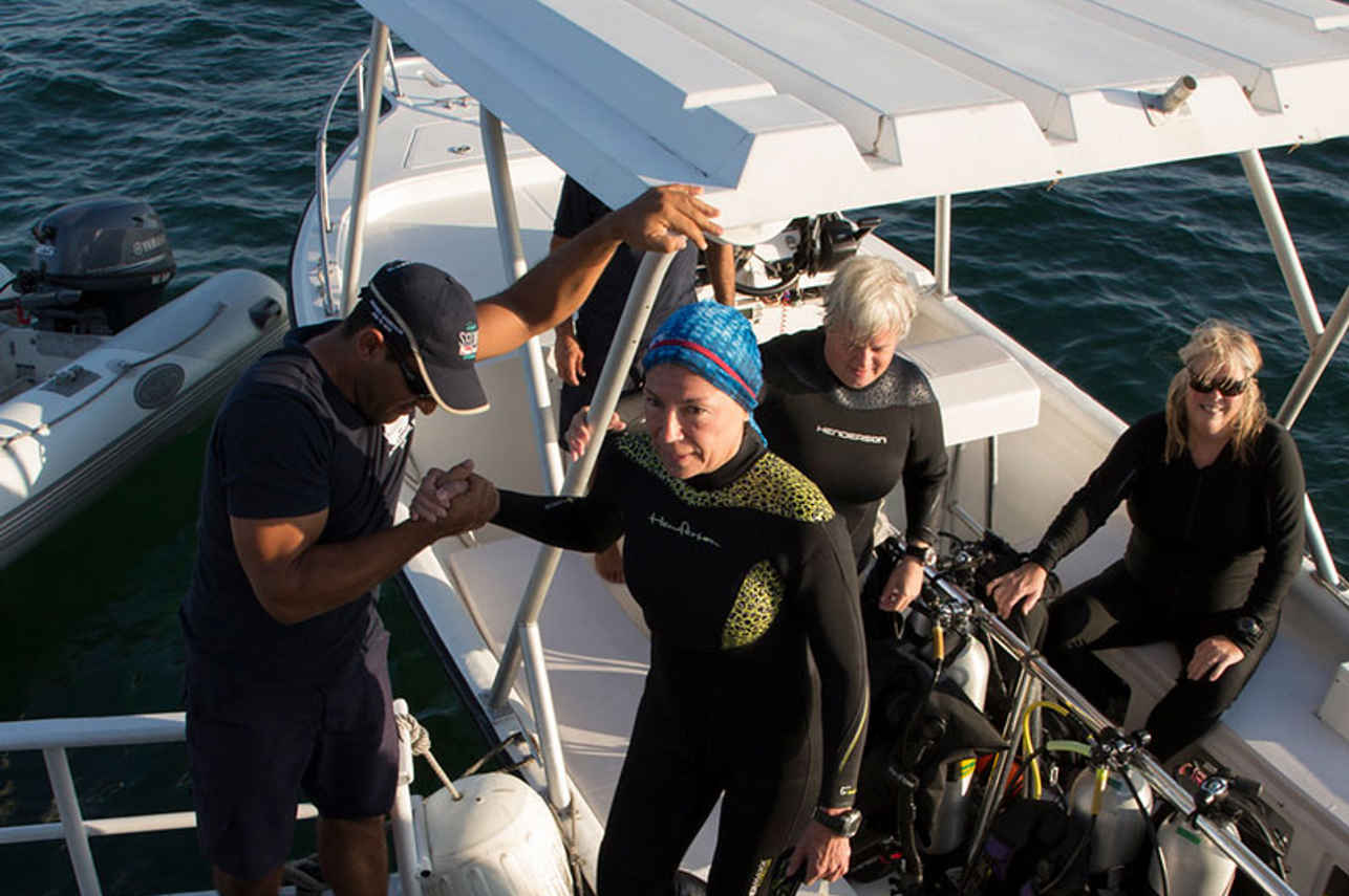 #tenderfordiving - Jardines Avalon Fleet 2