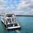 Jardines Avalon Fleet 2
