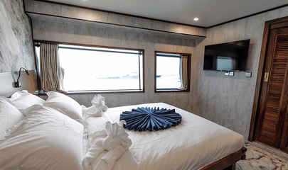 VIP Ocean View Suite