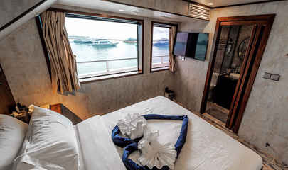 Deluxe Ocean View Suite