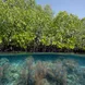 Land Raja Ampat