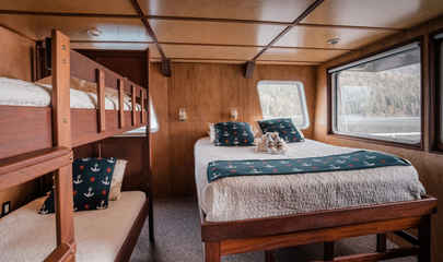 Papa Bear Suite