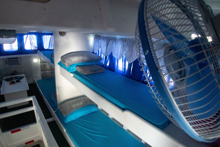 Standard Bunk Cabin - Agos