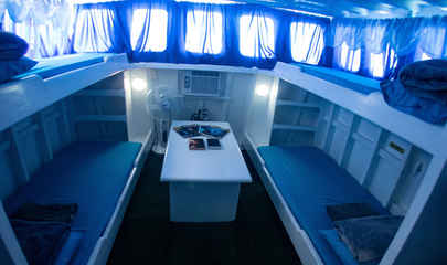 Bunk Beds