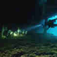 Wreck Dives