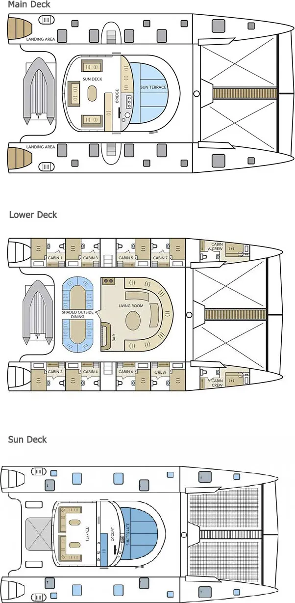 disposizione del ponte