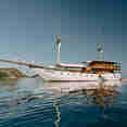 Adishree