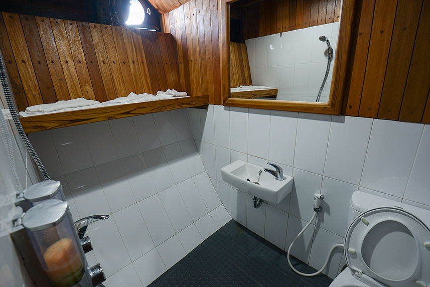 Double Cabin Bathroom