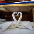 #standardcabins - Aphrodite