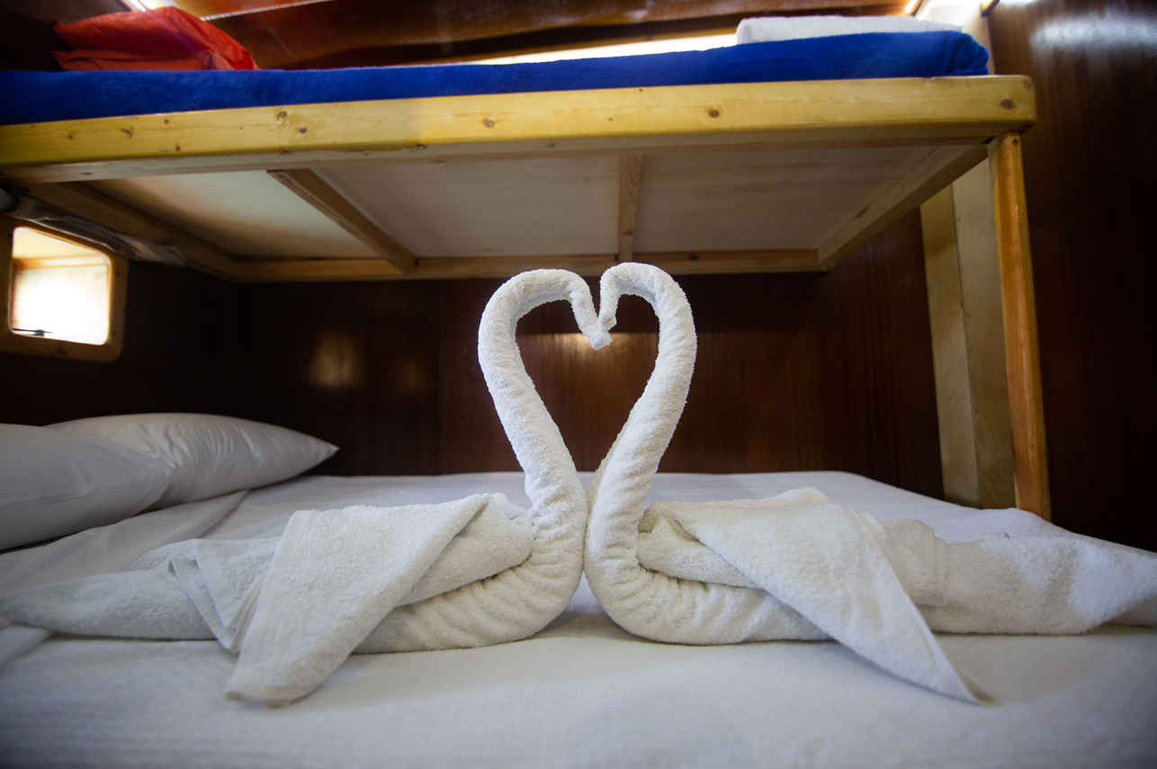 #standardcabins - Aphrodite