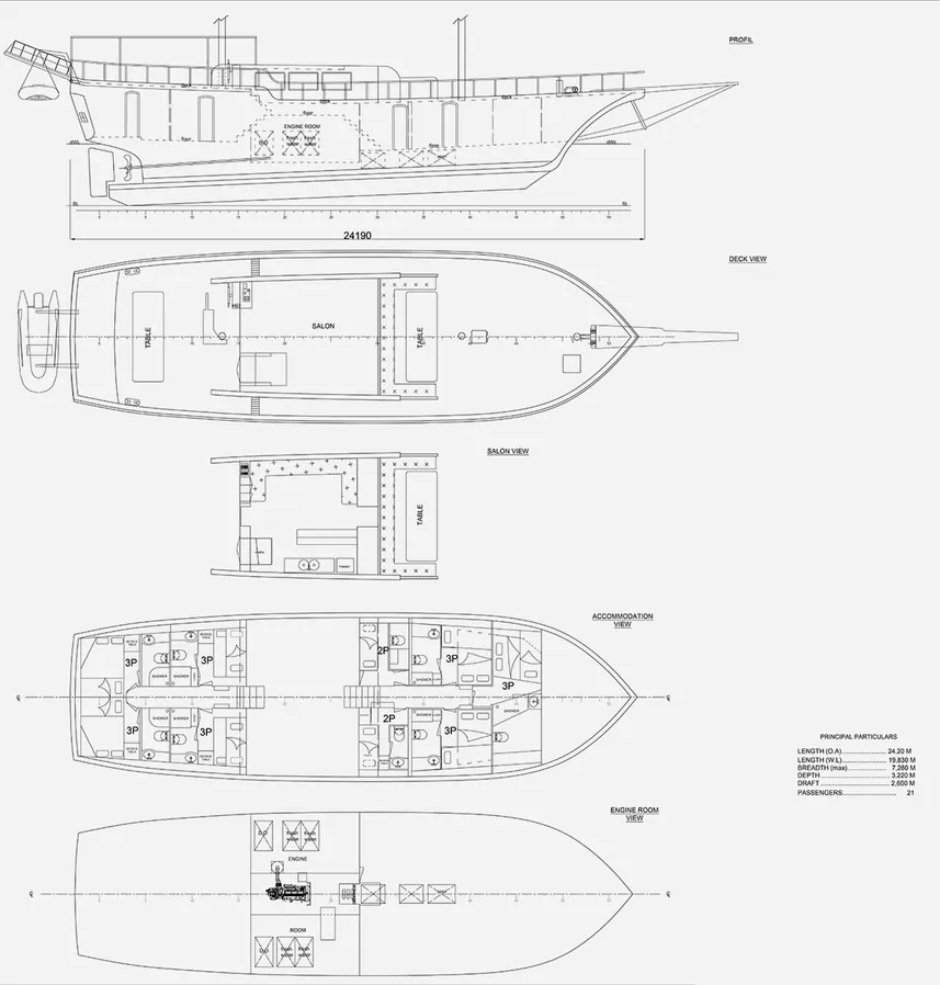 disposizione del ponte