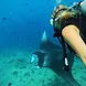 Diving with Manta