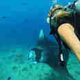 Diving with Manta