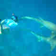 Snorkeling