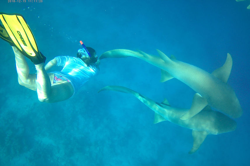 Snorkeling