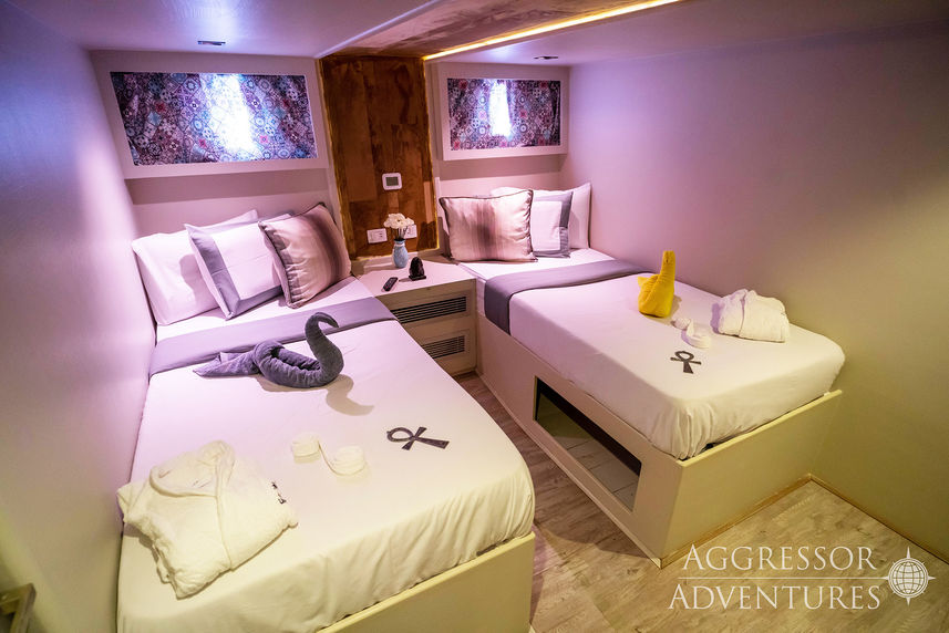 Deluxe Cabin - Red Sea Aggressor III