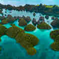 Raja Ampat