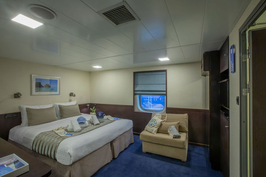 Category P Cabin - Harmony V