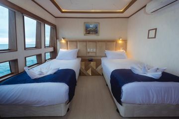 Main Deck Stateroom