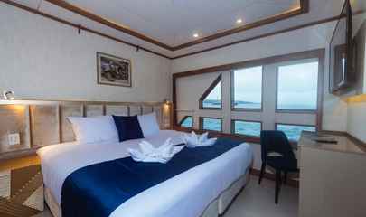 Main Deck Stateroom