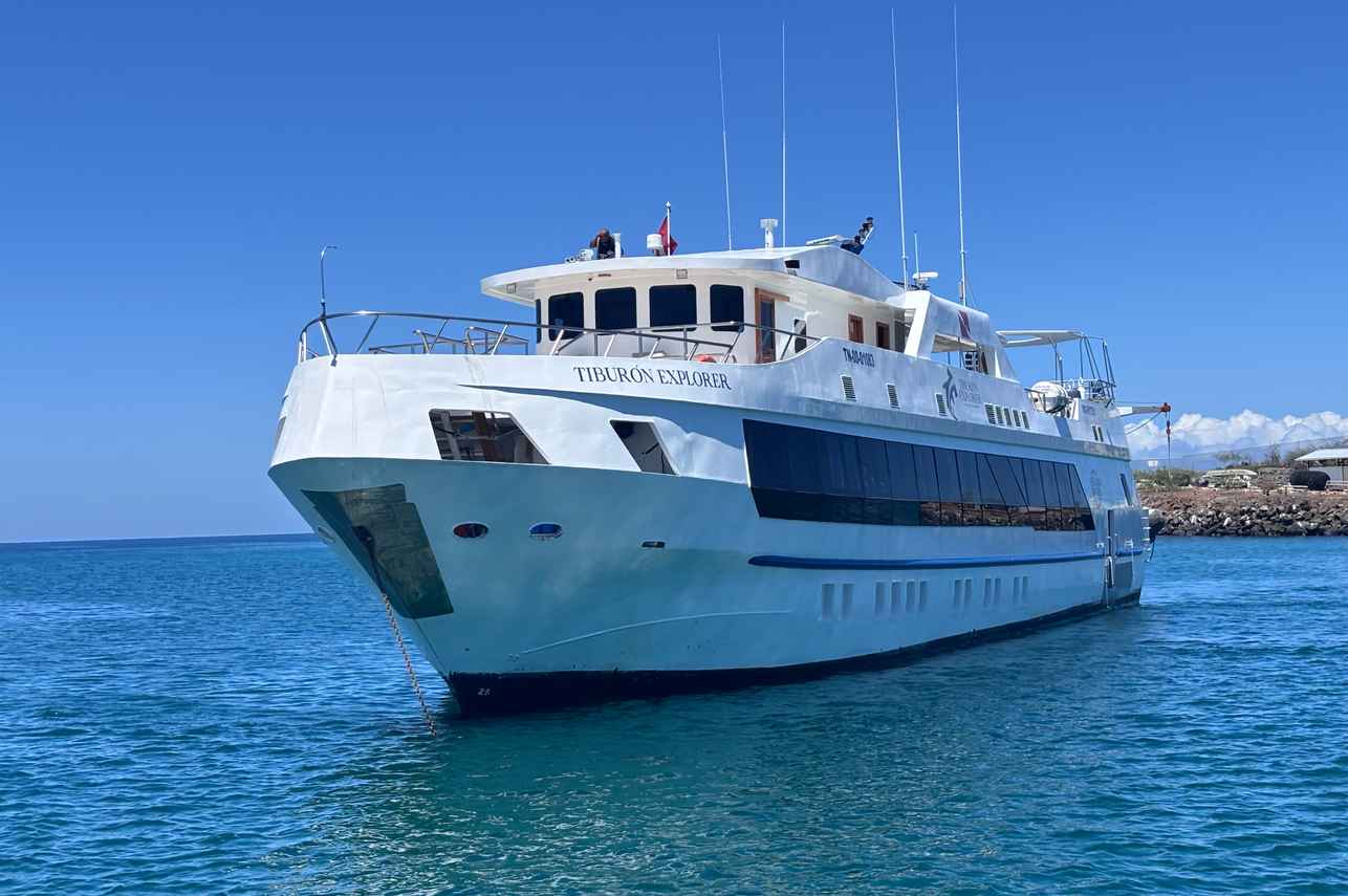 Tiburon Explorer