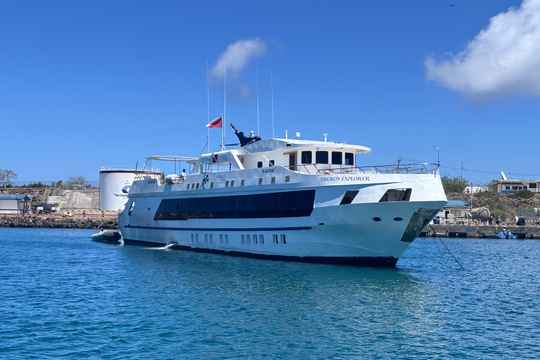 Tiburon Explorer