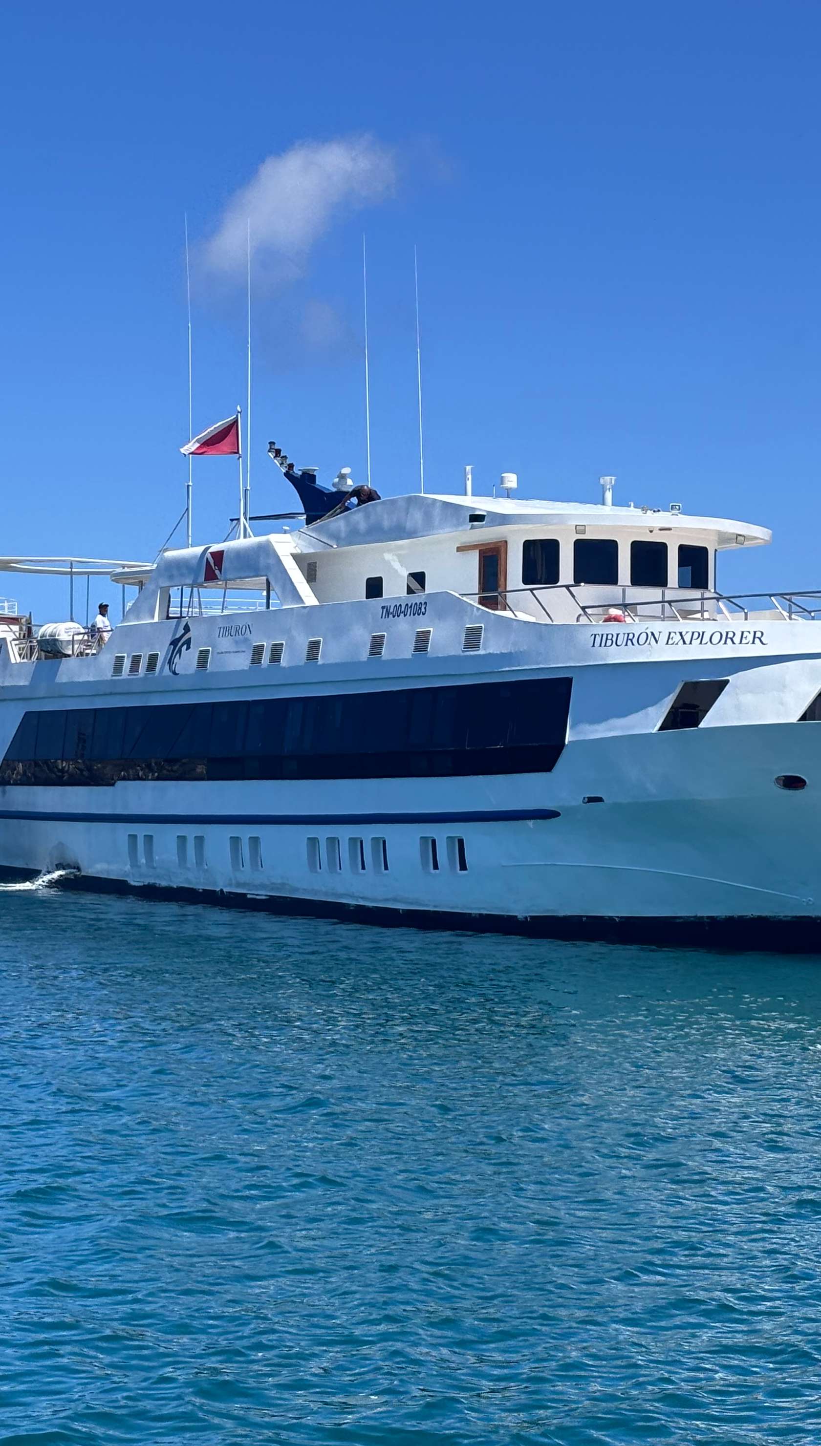 Tiburon Explorer