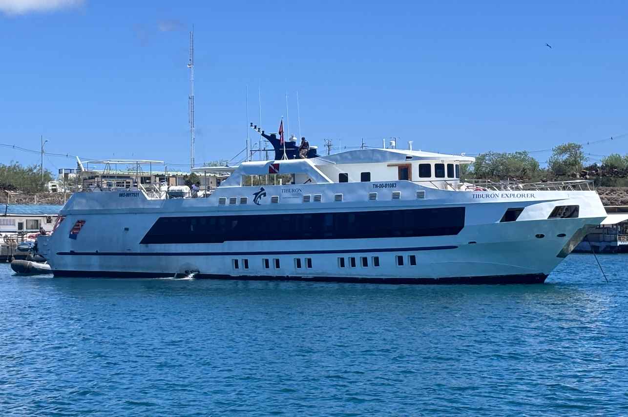 Tiburon Explorer