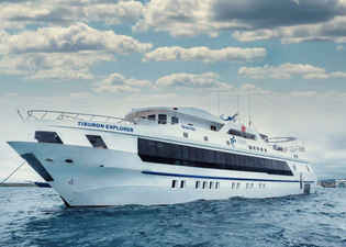 Tiburon Explorer