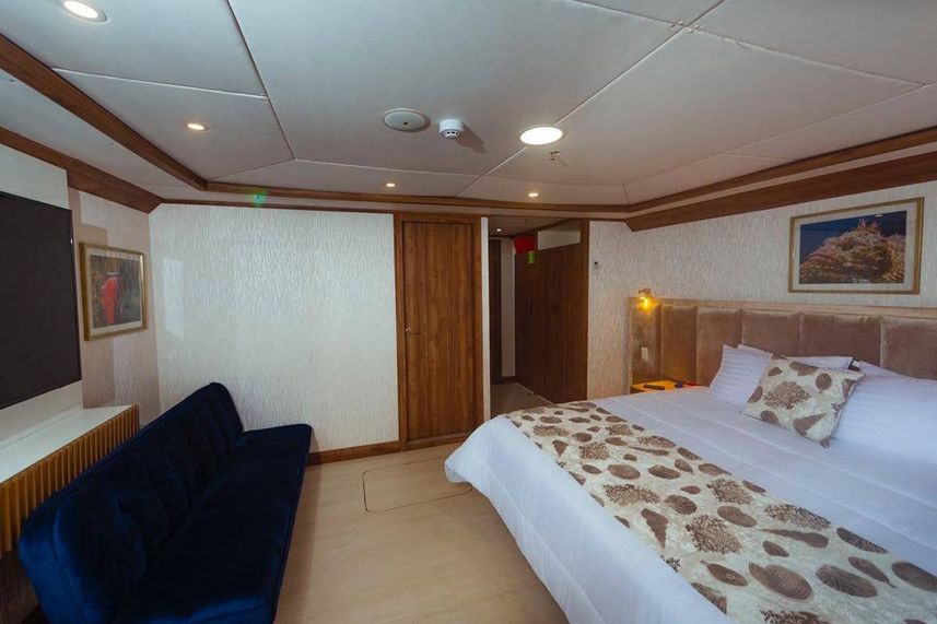 Lower Deck Cabin - Tiburon Explorer