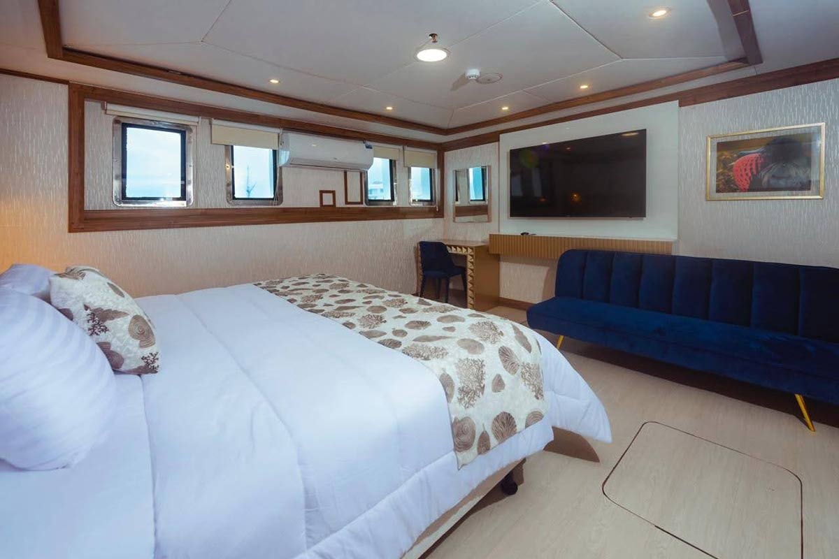 Lower Deck Cabin - Tiburon Explorer