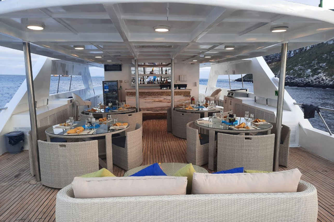Abendessen im Freien - Tiburon Explorer