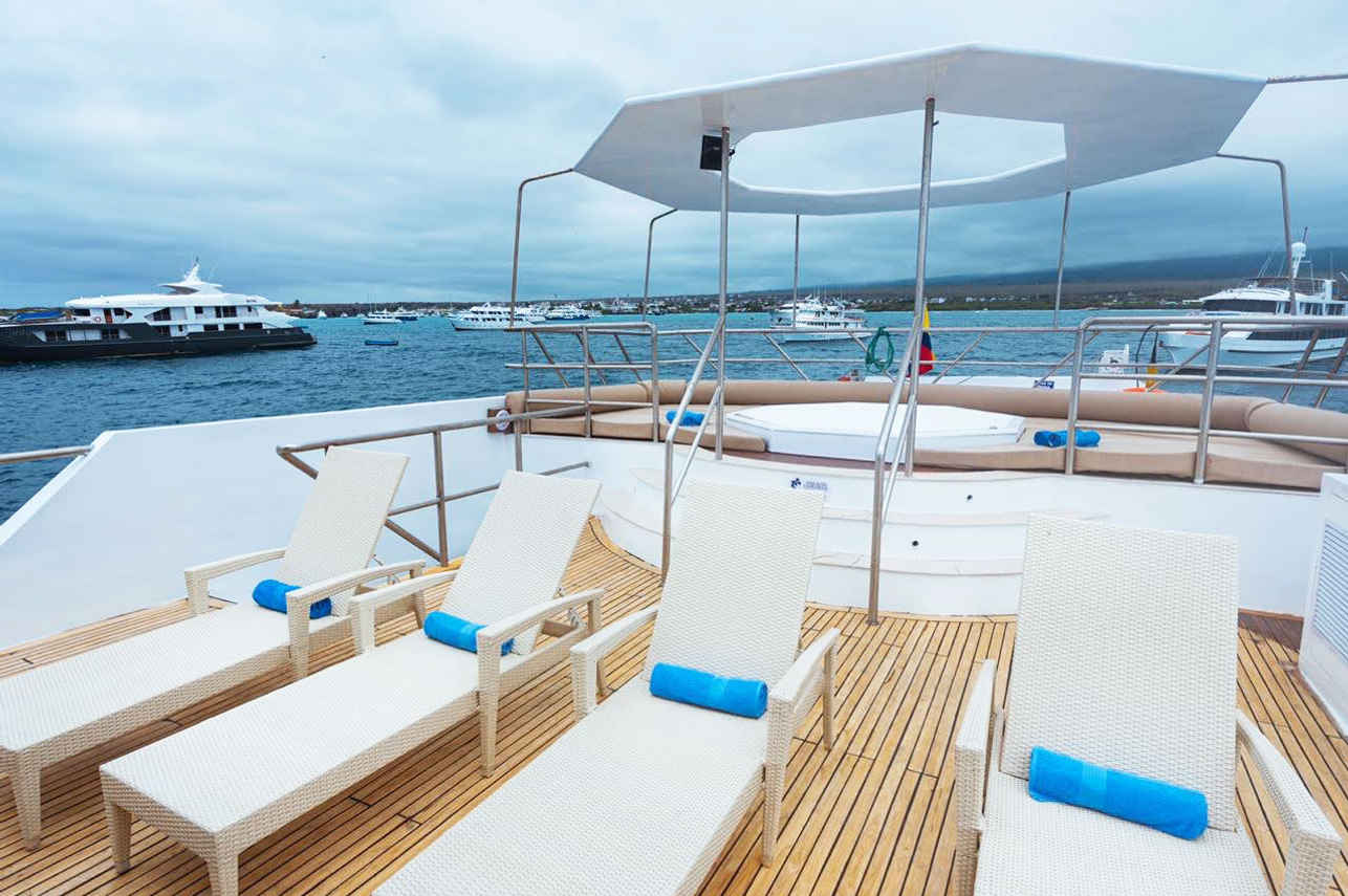Sonnendeck - Tiburon Explorer