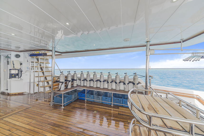 Dive deck - SS Serena Dreams