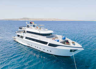 SS Serena Dreams