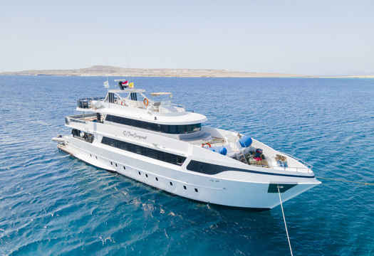 SS Serena Dreams