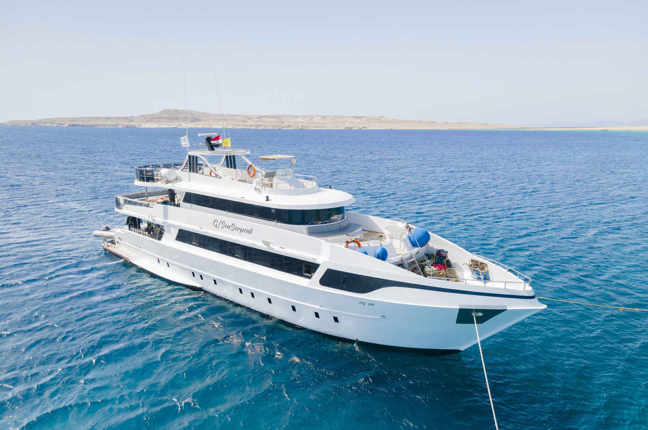 SS Serena Dreams