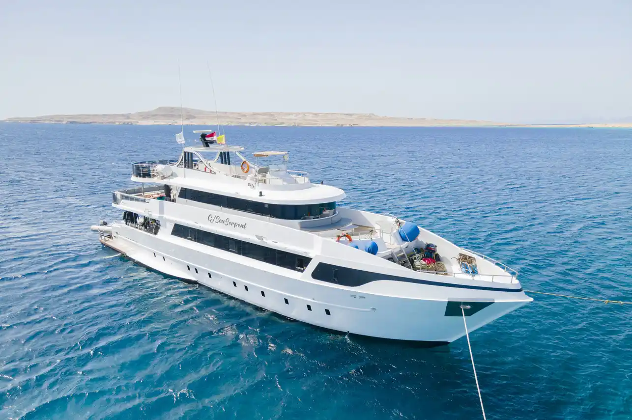 SS Serena Dreams