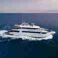 SS Serena Dreams