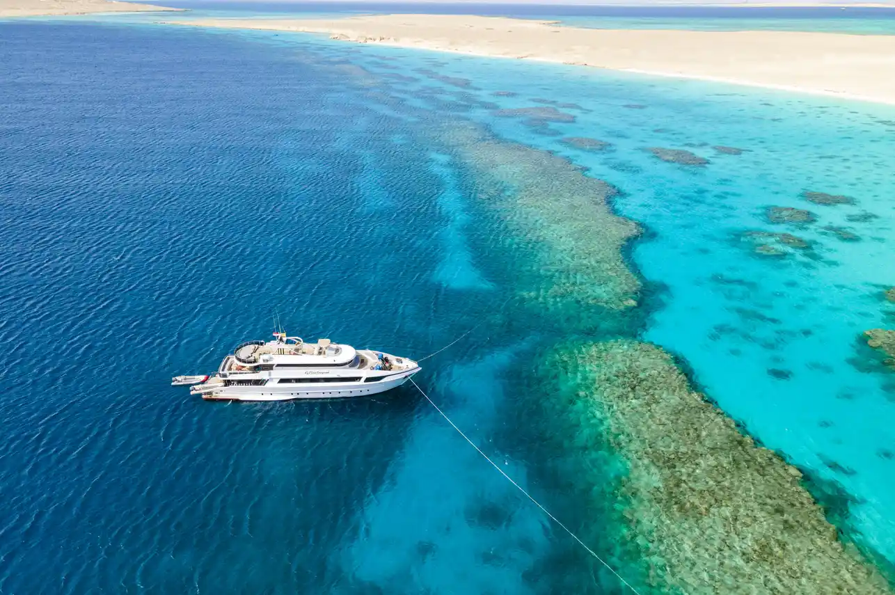 SS Serena Dreams
