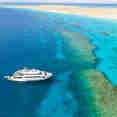 SS Serena Dreams