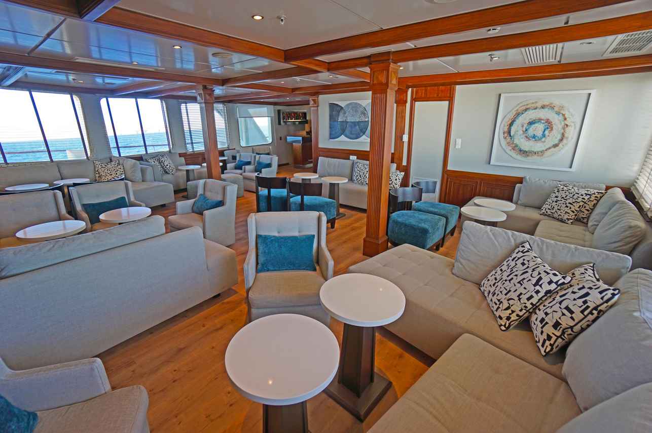 Salão fechado - Elysium