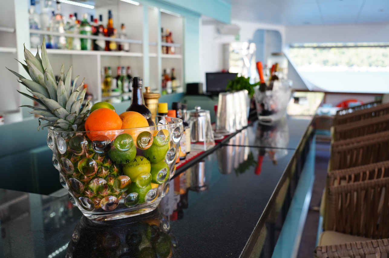 Bar and Lounge Area - Elysium