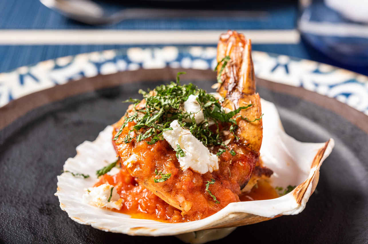 Comida a bordo - Elysium