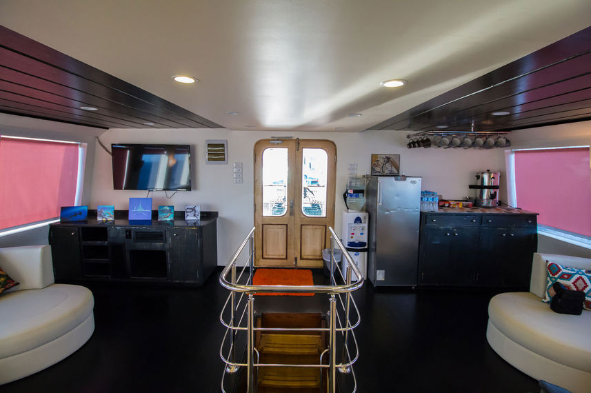 Indoor Saloon - Hammerhead I