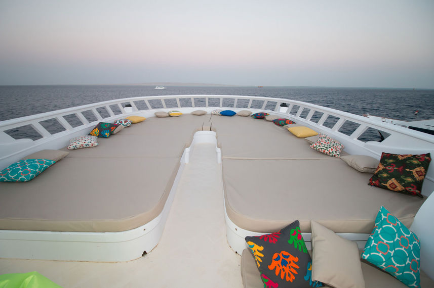 Sun Deck - Hammerhead I