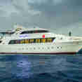 Hammerhead I