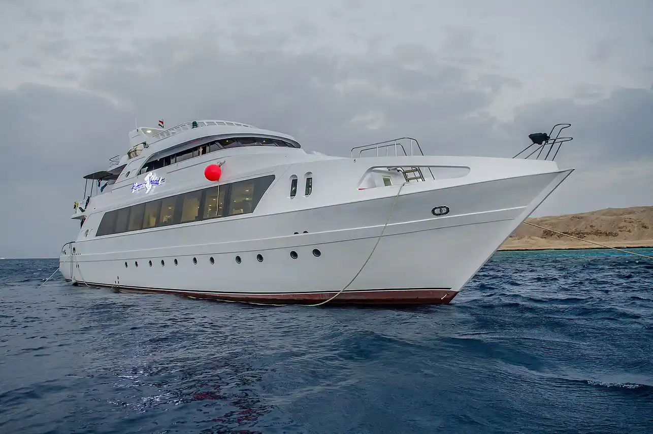 Hammerhead I at anchor, with her white hull and panoramic windows
