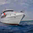 Hammerhead I