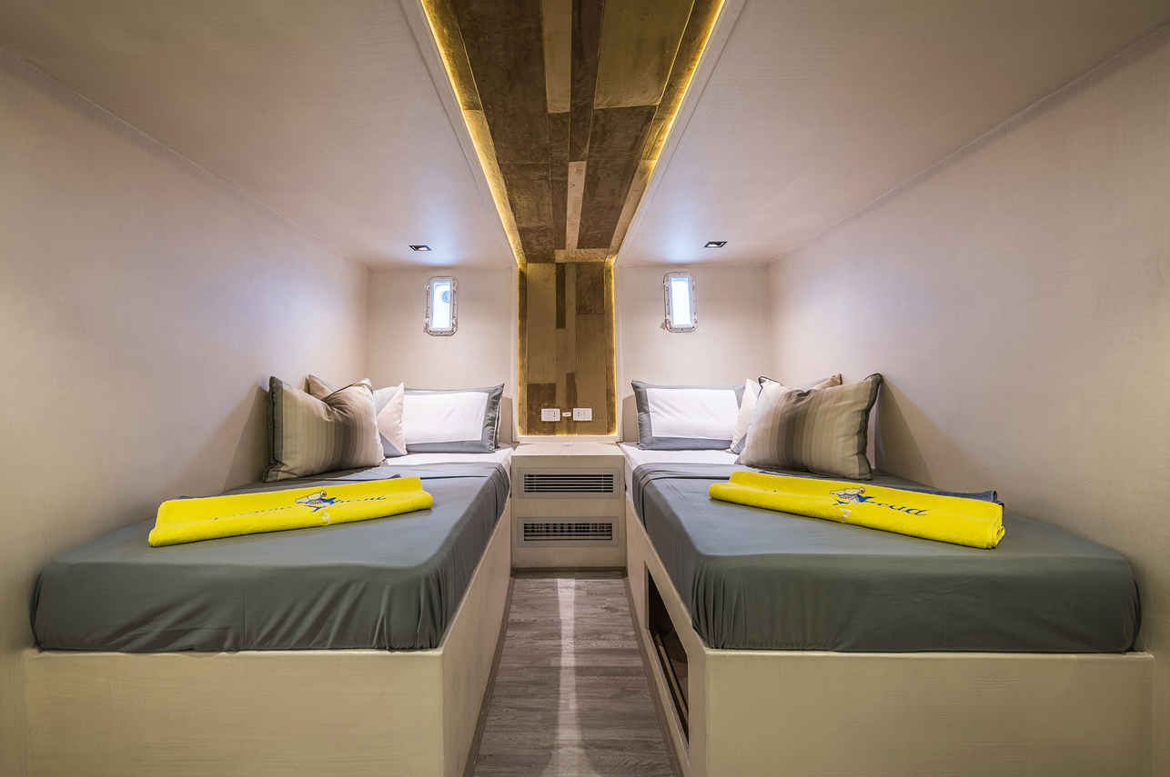 Lower-deck Standard twin cabin with two separate beds